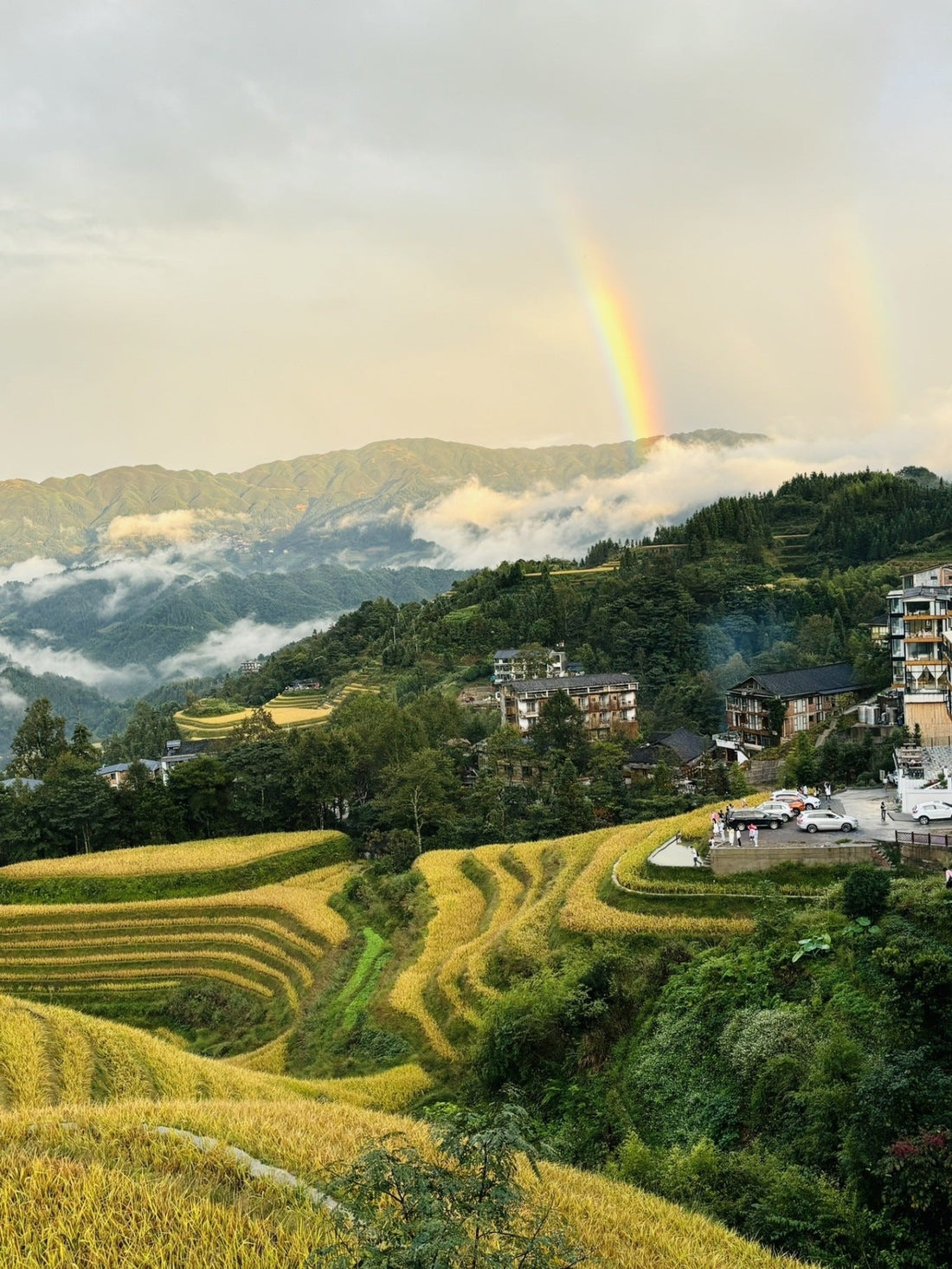 A Journey to Guilin in the Golden Autumn of 2024 — Longji Terraced Fields