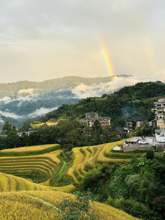 A Journey to Guilin in the Golden Autumn of 2024 — Longji Terraced Fields