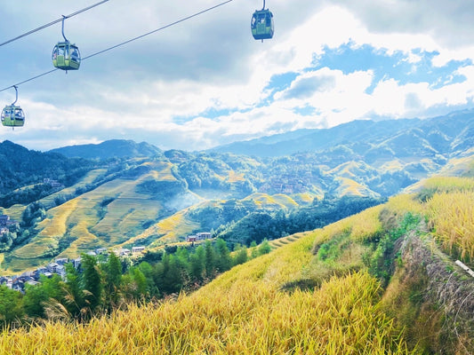 Hitting the Pause Button on the Busy Life —— A Five-day Trip to Guilin, Yangshuo and Longsheng